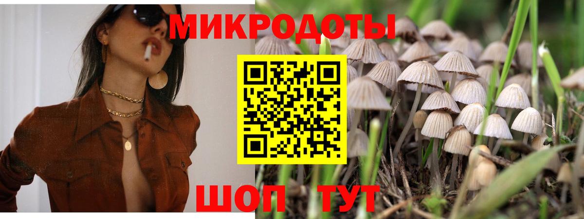 наркота  Псилоцибиновые грибы ЛСД  Вход с VPN  Кувандык  Псилоцибиновые грибы GOLDEN TEACHER 
